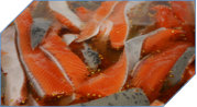Lachs Heilbutt Angeln Fischen Yakutat Alaska